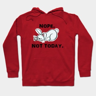 sleeping bunny nope not today Hoodie